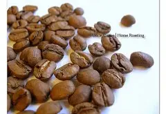 墨西哥咖啡恰帕斯产区│墨西哥直接关系咖啡紫水晶农园信息