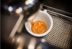 在家冲煮意式咖啡：从咖啡豆到咖啡机的选择  意式咖啡机推荐