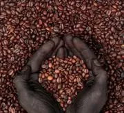 肯尼亚咖啡风味美味起源、简要历史介绍 喝肯尼亚咖啡有什么益处