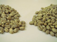 埃塞俄比亚耶加雪菲咖啡产区雪冽图处理厂咖啡豆风味特点