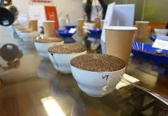 咖啡什么是杯测鉴定coffee cupping？scaa咖啡杯测的流程初体验