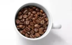 烘焙完之咖啡豆如何养豆??怎么确定咖啡养豆期时间？