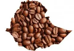 阿拉比卡咖啡豆的故乡-埃塞俄比亚咖啡品种特点风味口感描述介绍