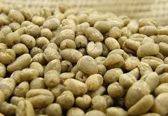 肯尼亚咖啡豆圆豆的口味区别 圆豆与平豆的风味口感有区别吗？