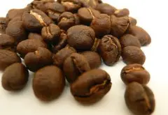 咖啡公豆原来也算瑕疵豆？公豆咖啡怎么泡好喝？