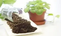 咖啡渣可以去甲醛吗 咖啡渣消除异味、除湿除虫 咖啡渣家居实用篇
