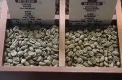 常见咖啡豆等级区分标准 咖啡豆等级g1与咖啡等级shb是什么意思