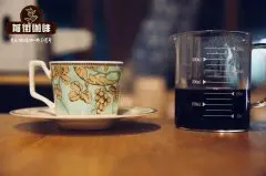 美式咖啡机与意式咖啡机原理构造与功能区别 美式咖啡加shot是什
