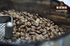 咖啡工房研习课室 | 陈年曼特宁产区陈年豆处理法烘焙冲煮分析