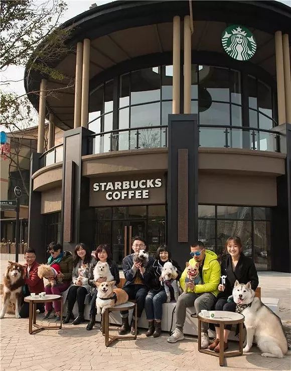 星巴克搞 宠物友好店 这波操作可以说相当走心了 中国咖啡网