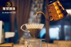 手冲咖啡五大手法 四大手冲咖啡豆 区别差异性分析和风味口感对比