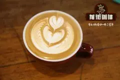 澳瑞白咖啡风味特点介绍 澳瑞白咖啡的制作方法与萃取技巧