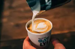 一杯难求的燕麦奶咖啡？植物奶咖啡在美国真的有那么火爆吗？