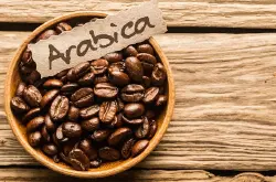 阿拉比卡咖啡豆都好喝？为什么阿拉比卡咖啡豆比罗布斯塔好喝？