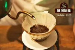 阿拉比卡咖啡豆变种-铁皮卡咖啡豆干香湿香描述 铁皮卡口感如何？