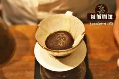 Typica铁比卡种咖啡豆的品种分类 云南铁皮卡是经典1952铁皮卡吗
