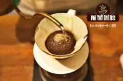 星巴克瑰夏咖啡比蓝山咖啡好喝吗 瑰夏咖啡豆风味口感特点描述