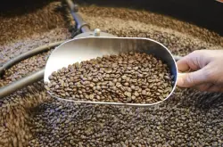 【咖啡养豆期】的秘密-咖啡豆什么要养？怎么养？养多久？