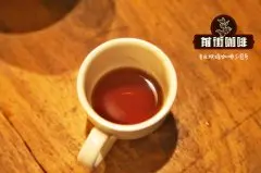 云南国际咖啡交易中心与普洱咖啡交易中心区别 在普洱哪里买咖啡