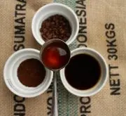 赞比亚Lupili Estate路霹雳庄园 赞比亚咖啡风味特点与肯尼亚的区
