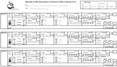 2018咖啡风味轮高清图 scaa杯测表高清 SCA杯测评分标准是什么？