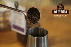 星巴克卢旺达咖啡淑利/霄莉咖啡豆故事介绍 卢旺达淑利咖啡豆怎么