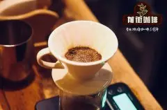 哥伦比亚咖啡风味介绍 哥伦比亚咖啡手冲数据 哥伦比亚咖啡怎么喝