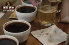 波多黎各咖啡产区Yauco尧科咖啡种植情况历史故事风味特征介绍