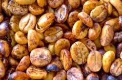 哥斯达黎加舒玛瓦黑蜜处理咖啡豆风味 坚果味醇厚的咖啡豆有哪些