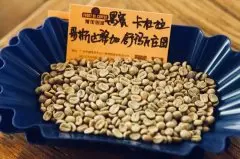 咖啡豆蜜处理后口感有什么变化？咖啡豆蜜处理适合煮什么咖啡？