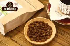 印尼亚齐曼特宁 拉菲曼特宁介绍 单品咖啡豆推荐