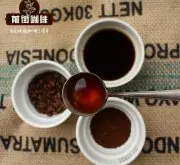 印尼猫屎咖啡豆风味介绍 印尼猫屎咖啡价格贵原因 猫屎咖啡豆特点