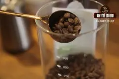 云南保山咖啡品种是小粒咖啡吗？南保山咖啡多少钱一斤？