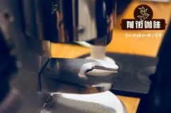 中国云南咖啡豆产地 云南咖啡豆推荐 国产小粒咖啡冲煮风味描述
