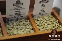中国国产咖啡豆 云南咖啡卡蒂姆铁皮卡小粒咖啡豆风味表现