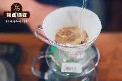 越南滴漏咖啡多少钱一杯_越南咖啡豆价格低也能冲得好喝