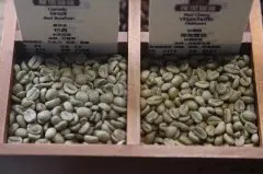 咖啡软豆和硬豆如何烘焙？不同密度的咖啡豆有哪些烘焙技术？有什
