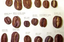 走进古老的咖啡品种，原生种和变异种介绍与风味特点