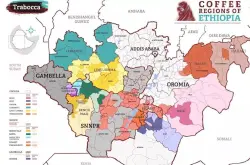 什么是“红樱桃计划”？ 最精准的埃塞俄比亚咖啡地图！