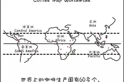 品鉴精品咖啡 |【非洲】与【美洲】两大咖啡产区的风土地域特性