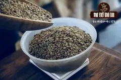 埃塞俄比亚咖啡豆风味_西达摩、耶加雪菲的风味特点
