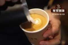 花式咖啡有着什么特点？怎样自制花式咖啡？什么是花式咖啡？