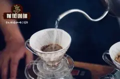 咖啡闷蒸的目的 咖啡闷蒸和萃取温度 咖啡闷蒸作用 手冲咖啡闷蒸