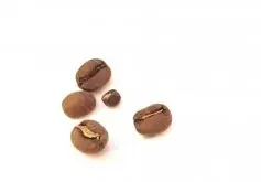 危地马拉什么咖啡豆最特别_危地马拉茵赫特庄园小摩卡种咖啡豆
