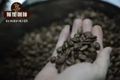 赞比亚单一咖啡庄园PB圆粒咖啡豆口感_赞比亚咖啡品种介绍