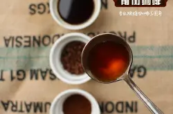 埃塞俄比亚西达摩狮子王咖啡风味特点品种产区口感研磨刻度处理法