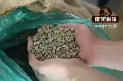 星巴克凤舞祥云咖啡的故事 云南咖啡豆的特点 云南小粒咖啡风味