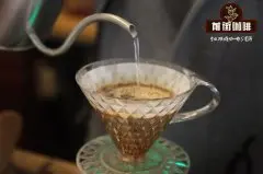 巴西达拉菓庄园咖啡手冲效果怎么样_怎么做出好喝的巴西手冲咖啡