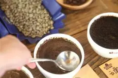 云南小粒咖啡是铁皮卡还是卡蒂姆 咖啡豆风味特点对比区别