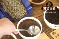 咖啡豆品种详解 铁皮卡咖啡豆是什么品种